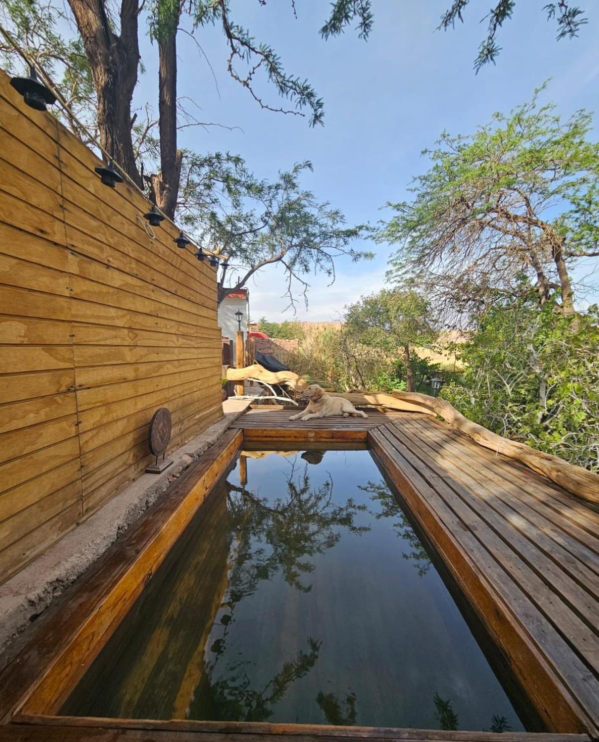 Anka Lodge Quitor San Pedro de Atacama Dış mekan fotoğraf