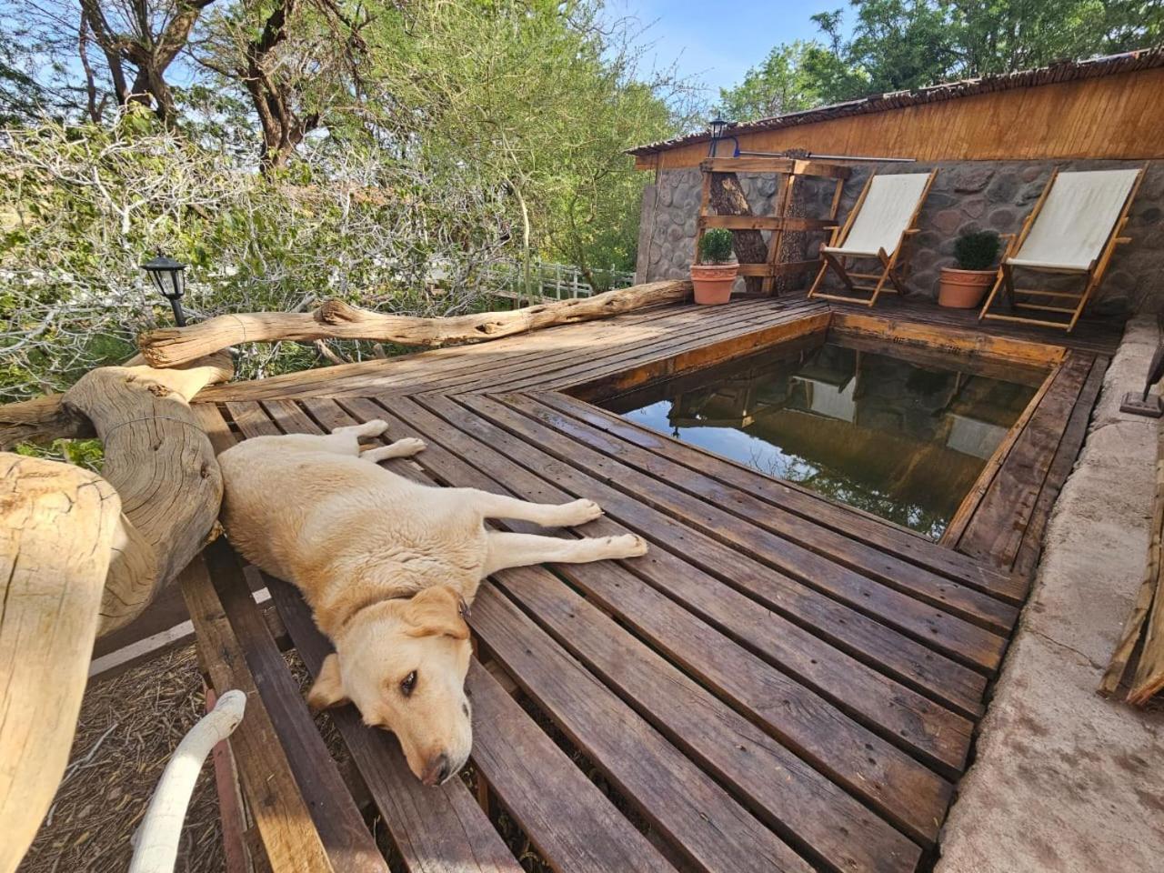 Anka Lodge Quitor San Pedro de Atacama Dış mekan fotoğraf