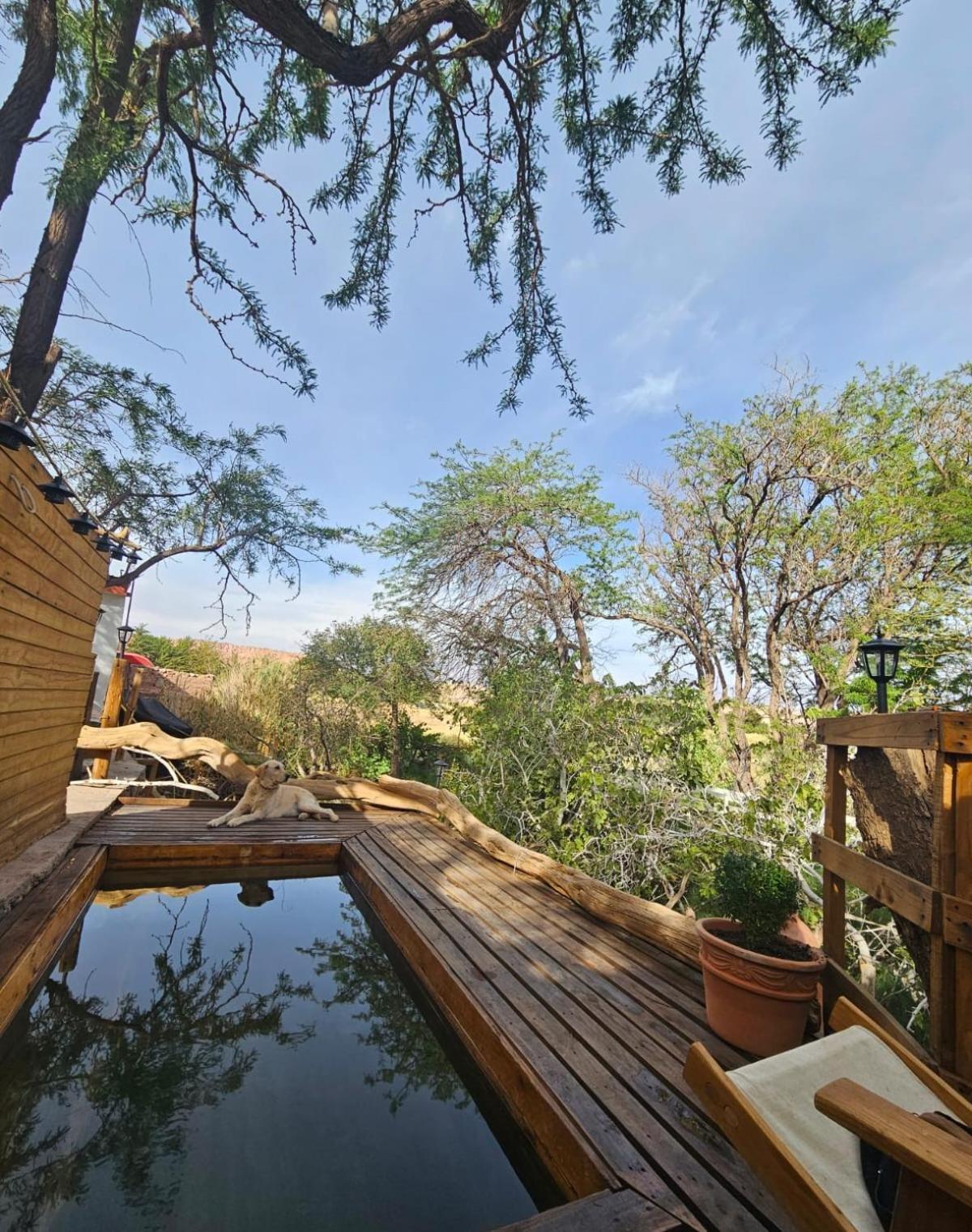 Anka Lodge Quitor San Pedro de Atacama Dış mekan fotoğraf
