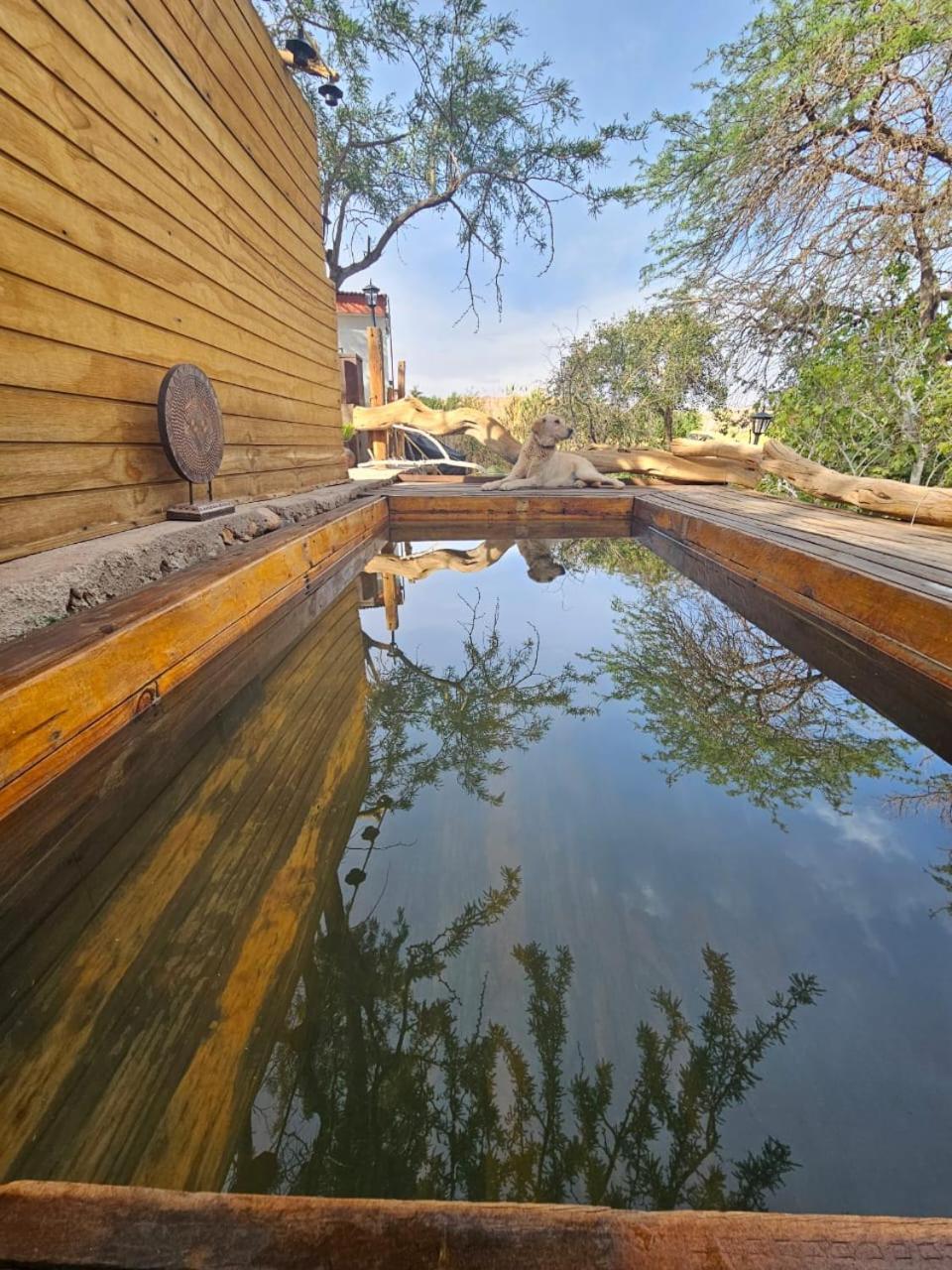 Anka Lodge Quitor San Pedro de Atacama Dış mekan fotoğraf
