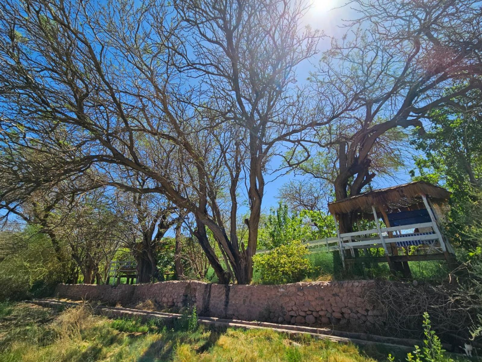 Anka Lodge Quitor San Pedro de Atacama Dış mekan fotoğraf